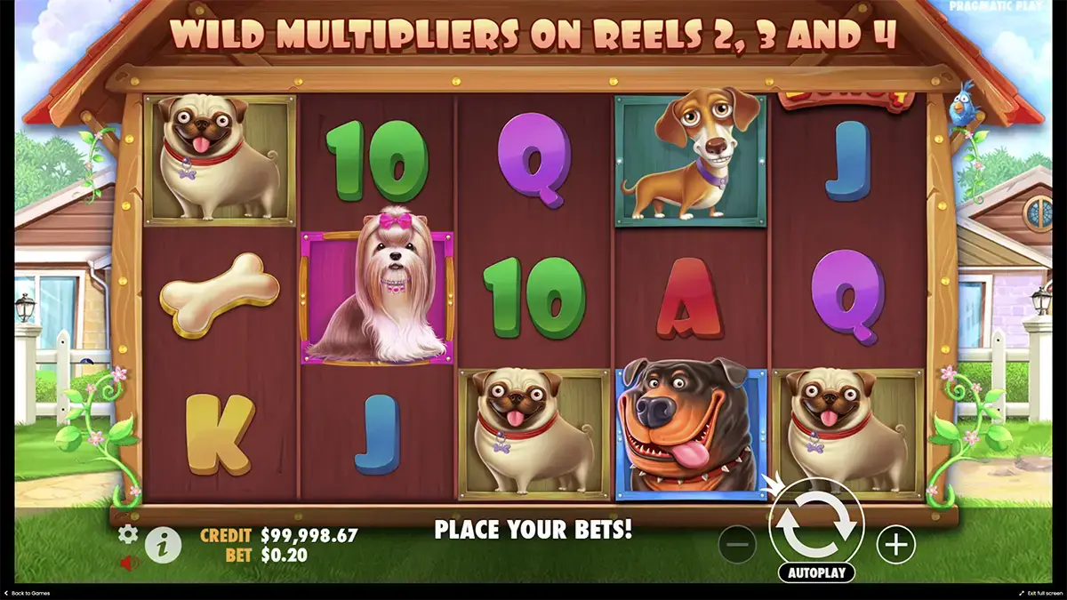 Игра в демо режиме в the Dog house