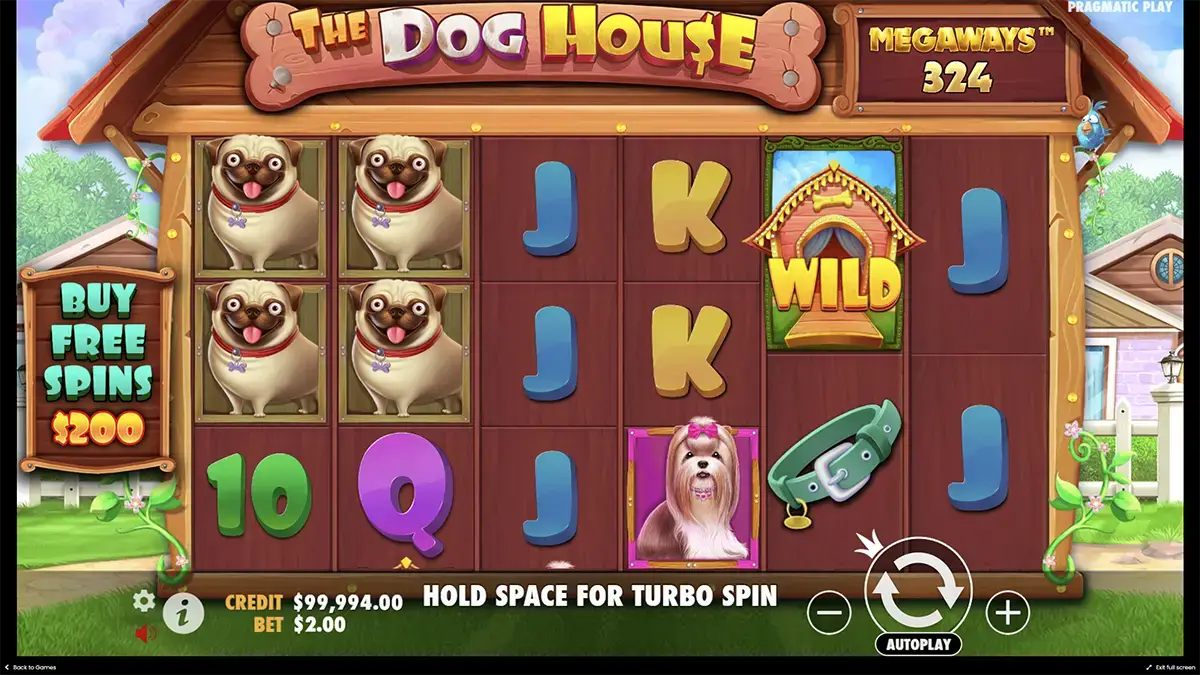 The Dog House Megaways сюжет и интерфейс
