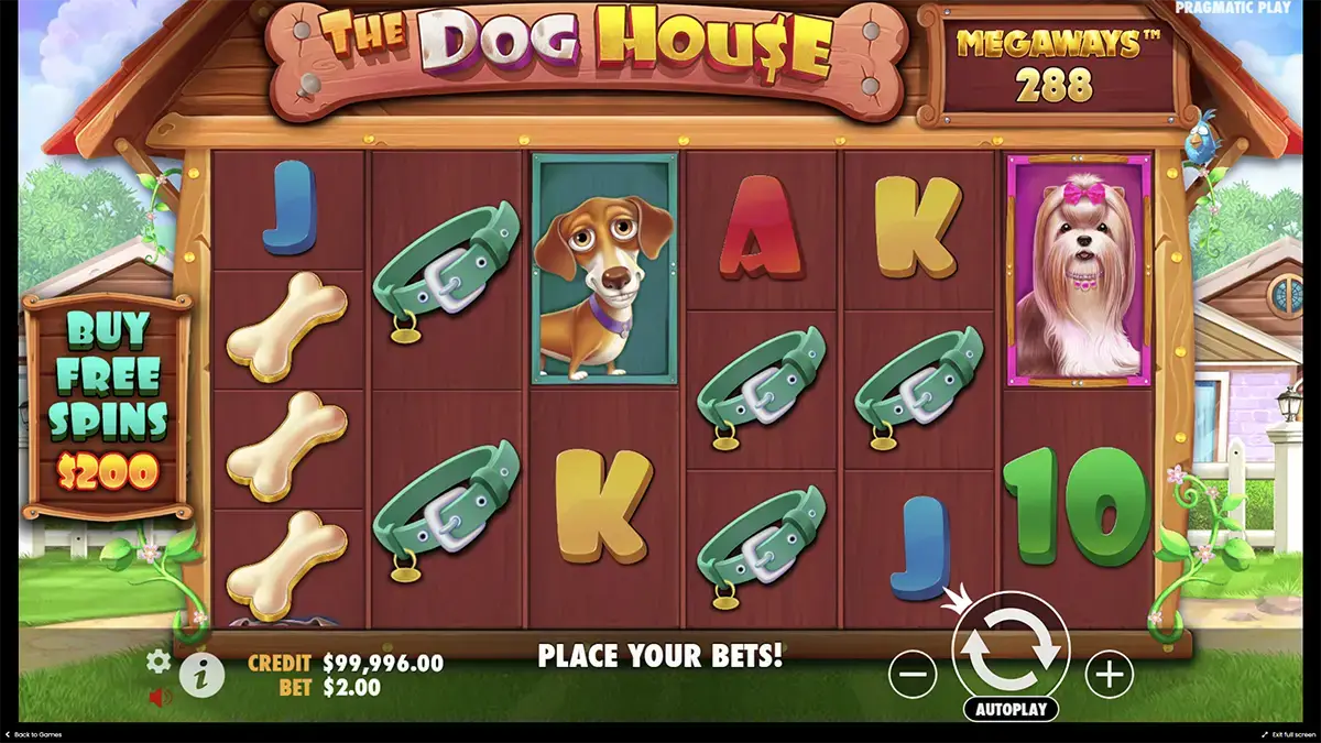 The Dog House Megaways игра и ставки