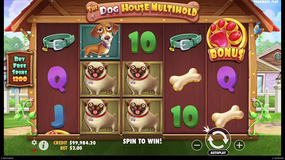Игровой процесс слота The Dog House Multihold
