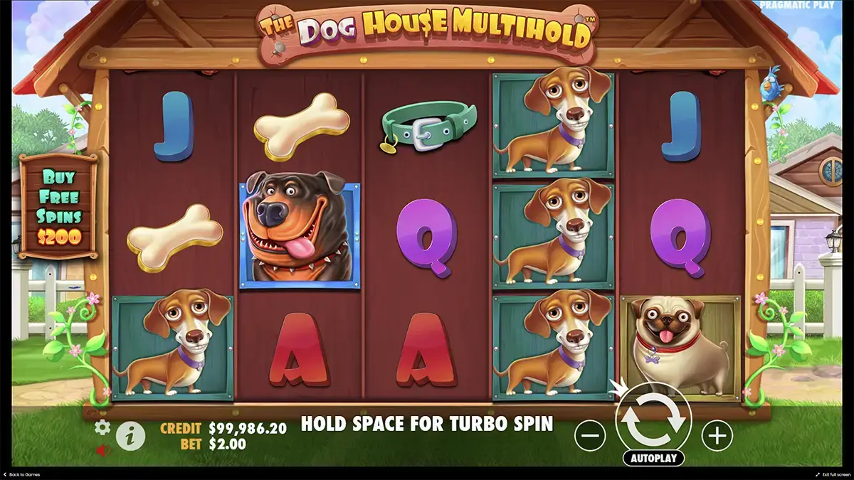 Бонусы слота The Dog House Multihold