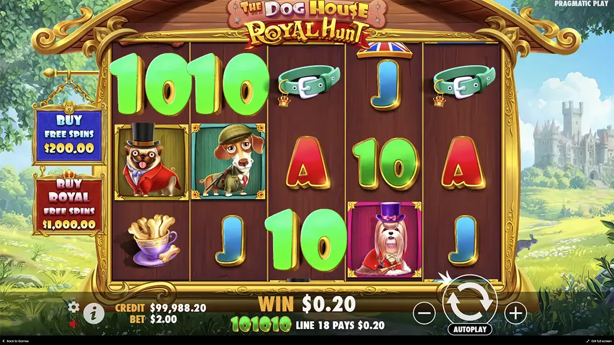 Бонусная игра в The Dog House – Royal Hunt